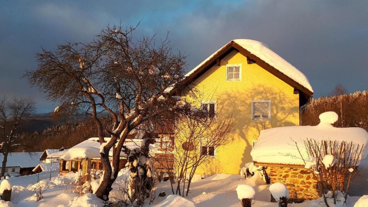 Ferienwohnung Sigi'S Waldhaus Neuschönau Extérieur photo